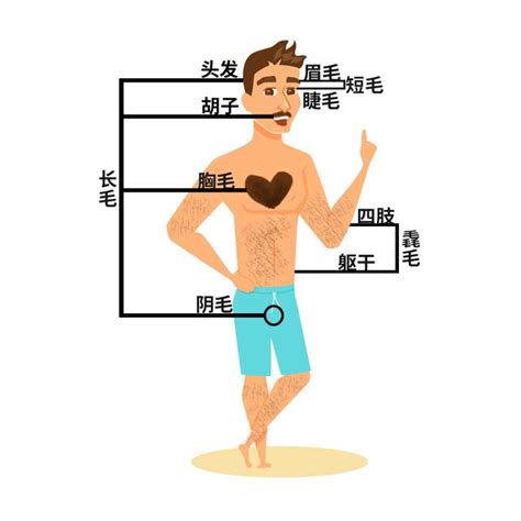 肚子長一根毛|身上有一根毛特別長，是長壽象徵，還是癌變前。